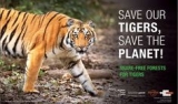 Save Tigers!! Save Environment!!